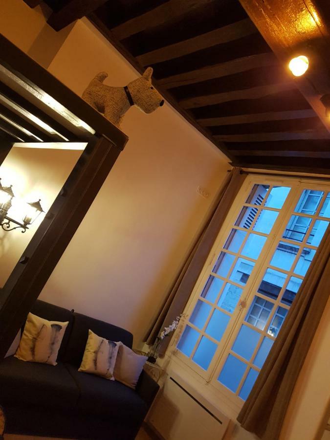 Havre De Paix Avec Exterieur Au Coeur Du Vieux Tours Apartamento Exterior foto
